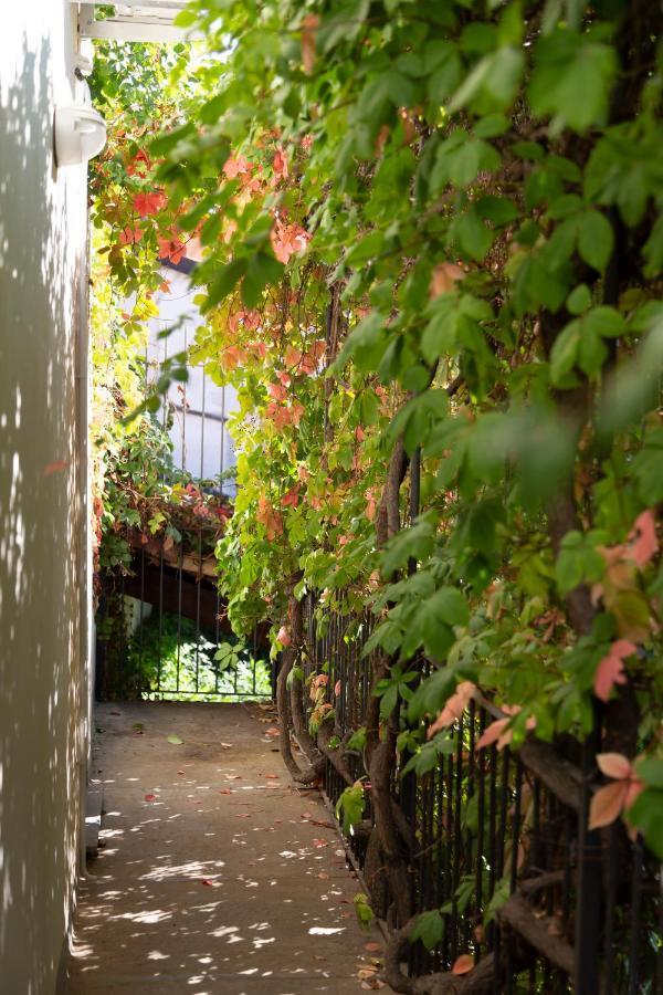 Palazzo Sismonda Bed & Breakfast Corneliano d'Alba Dış mekan fotoğraf
